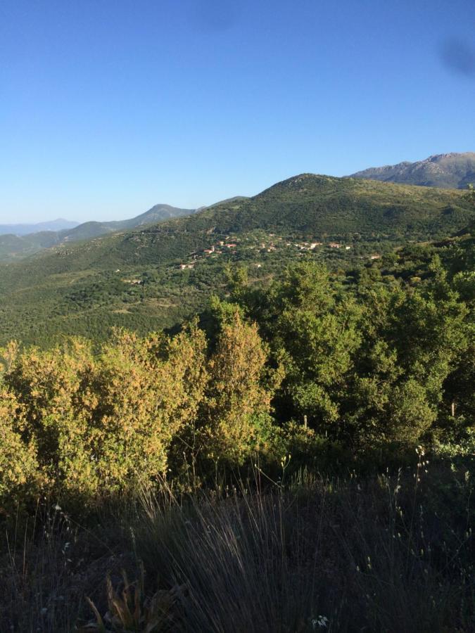 Gourgiana Apartments Andritsaina Dış mekan fotoğraf