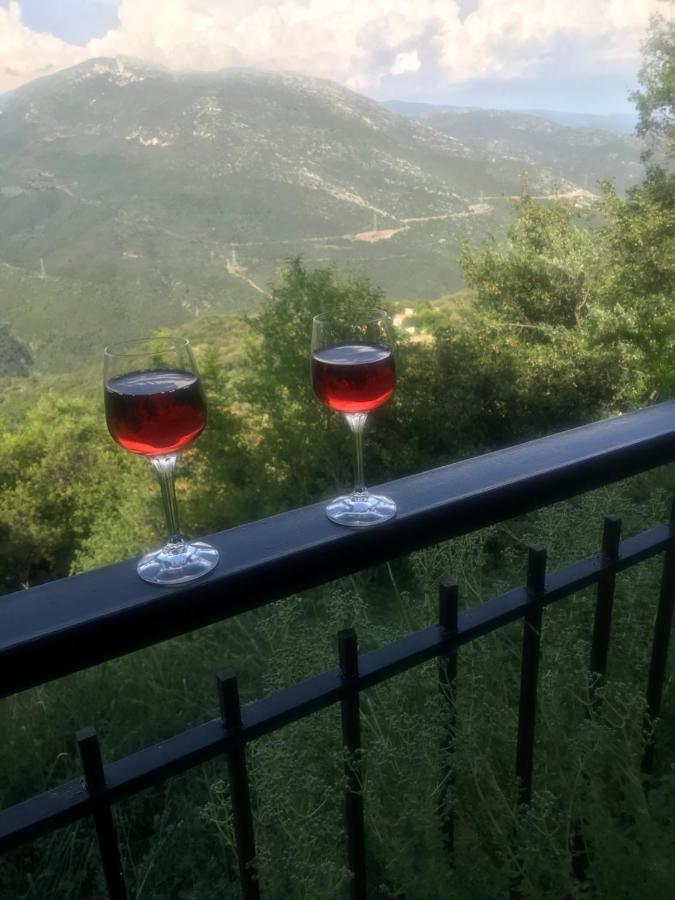 Gourgiana Apartments Andritsaina Dış mekan fotoğraf