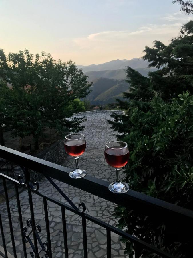 Gourgiana Apartments Andritsaina Dış mekan fotoğraf