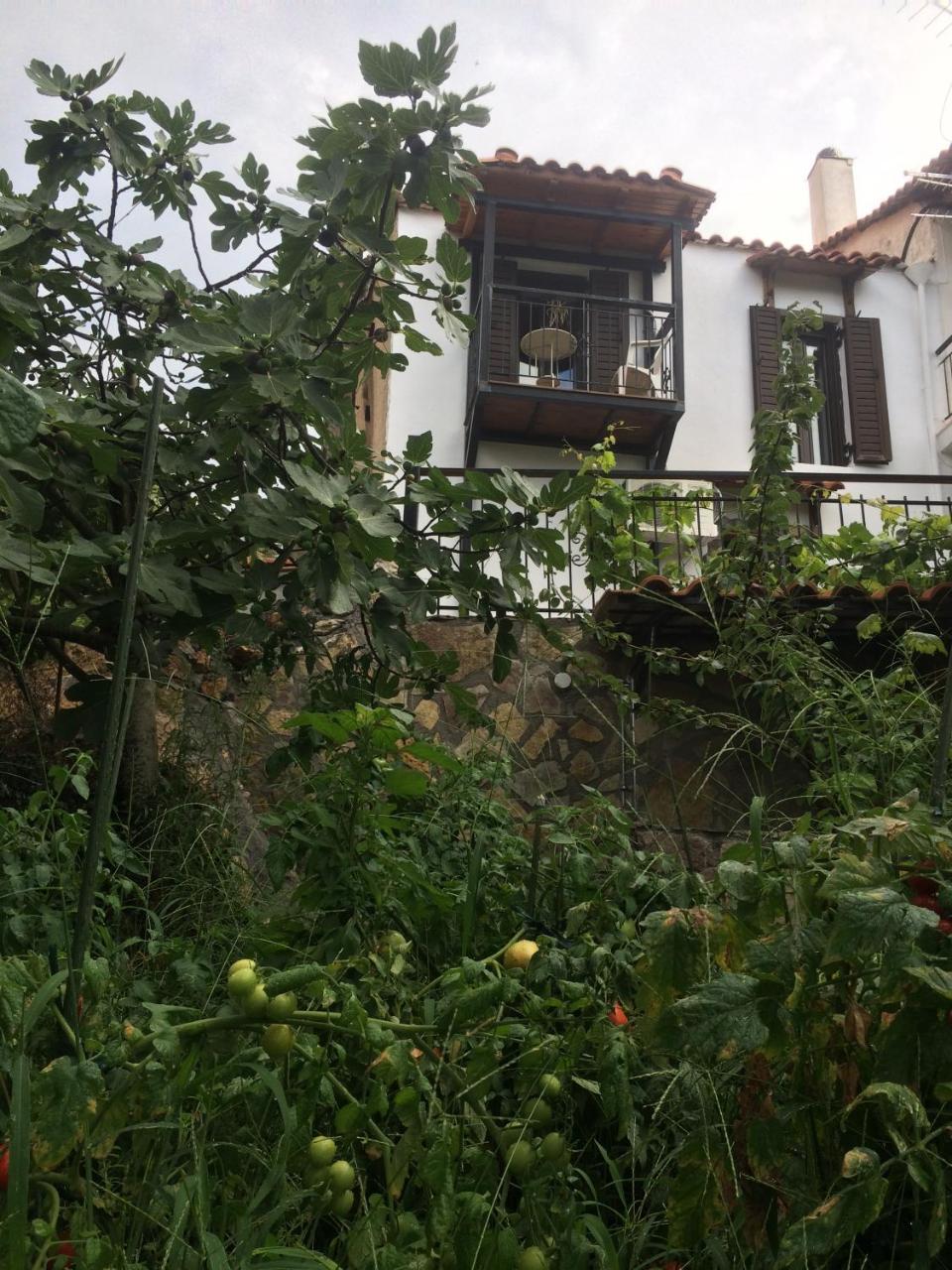 Gourgiana Apartments Andritsaina Dış mekan fotoğraf
