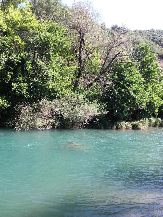Gourgiana Apartments Andritsaina Dış mekan fotoğraf