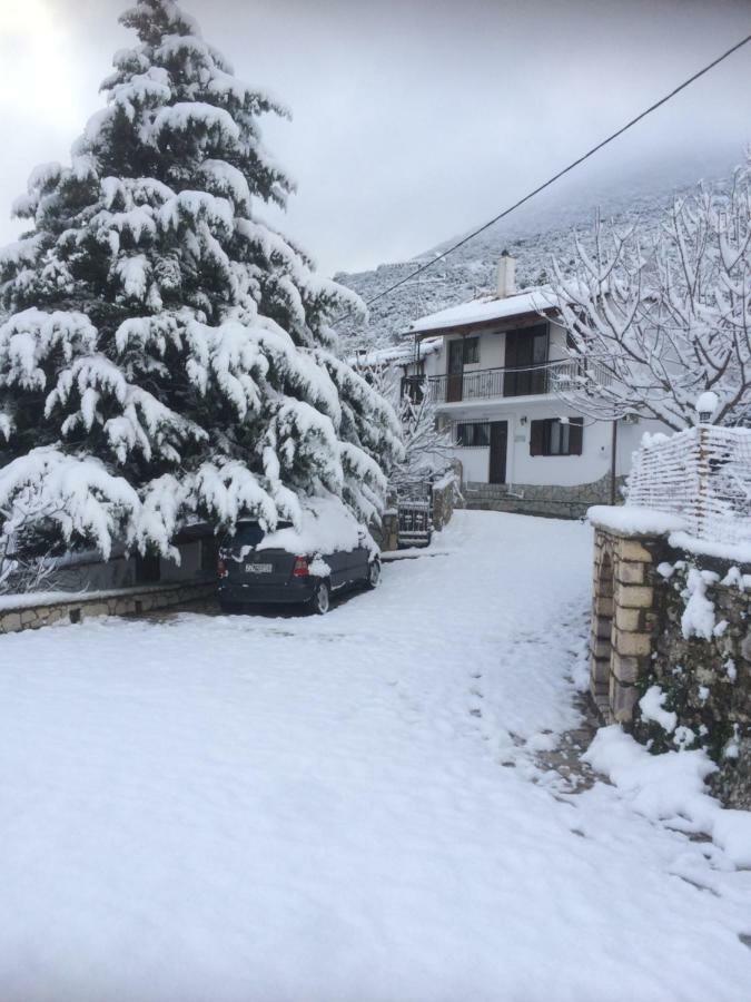 Gourgiana Apartments Andritsaina Dış mekan fotoğraf